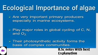 Algae  ECONOMIC IMPORTANCE OF ALGAE  BSc 1 Year Botany Notes  ZBC [upl. by Brogle60]