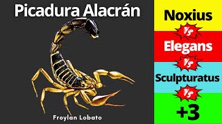 Picadura de alacrán🦂 Alacranismo 🩺Diagnóstico y Tratamiento  Centruroides Importancia Médica [upl. by Hbaruas]