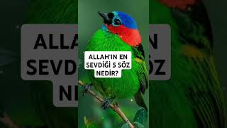 Allahın en sevdiği sözler allah zikir cuma 🕋🤲 [upl. by Eisserc]