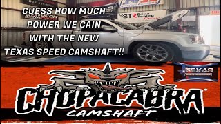 New Texas Speed Chopacabra Camshaft Installation  Dyno Numbers [upl. by Bucher]