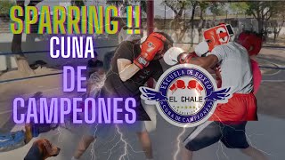 ESCUELA DE BOX EL CHALE SPARRING CUNA DE CAMPEONES 🥊🤑🥊 [upl. by Lorianna]