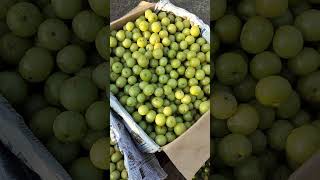 Bowenpally vegetable market Hyderabad MJY vlogs trending shortvideo videos viralreels food [upl. by Martica]