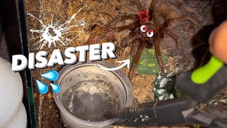 WATERING my TARANTULAS at night  GONE WRONG  “Part 12 ” [upl. by Osner]