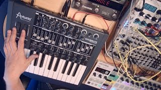 Arturia MiniBrute Analog Synth Demo [upl. by Romeu98]