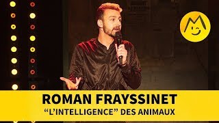 Roman Frayssinet  quotLintelligencequot des animaux [upl. by Anerol]