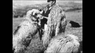 Sârbă ciobănească  Pastoral dance [upl. by Derr]