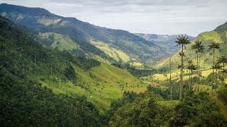 Trekking from Salento through Colombian mountains with Paramo Trek  HD [upl. by Yecies519]