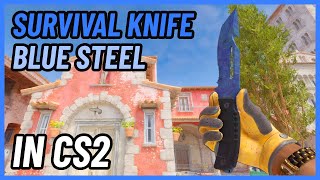 ★ CS2 Survival Knife Blue Steel  CS2 Knife InGame Showcase 4K [upl. by Arvonio225]