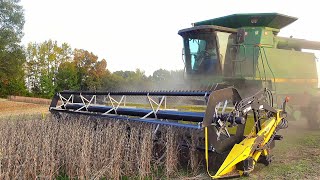 Soybean Harvest Begins [upl. by Armalla]