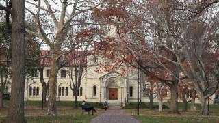 Oberlin College Alumni Voices [upl. by Chaddy]