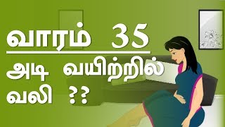 The Pregnancy  week by week  Tamil  Week 35 [upl. by Mosera]