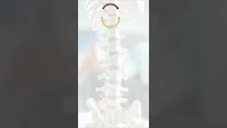 Patient Feedback  Dr Anshul Agrawal  Sparsh Spine amp Pain Centre Indore [upl. by Annaehs]