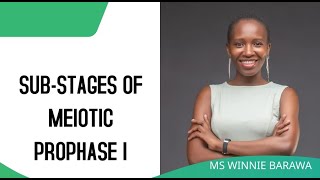 SUBSTAGES OF PROPHASE I OF MEIOSIS LEPTOTENE ZYGOTENE PACHYTENE DIPLOTENE DIAKINESIS [upl. by Ashlie]