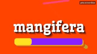 MANGIFERA  HOW TO PRONOUNCE IT [upl. by Duma491]