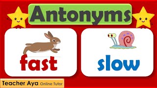 Antonyms  Opposite meaning Learn the antonyms  Examples of antonyms  Lesson with quiz [upl. by Nilrak]