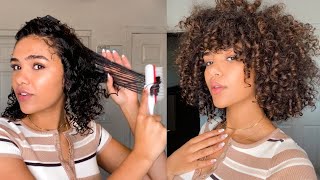 HOW TO GET DEFINED CURLS WITH THE DENMAN BRUSH  CURLY HAIR ROUTINE [upl. by Loeb]