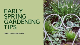 Early Spring Garden Tips amp Tour  get out your secateurs and shears [upl. by Kaitlyn]