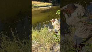 Caught my FIRST WHITEFISH in Idaho fishing flyfishing whitefish idaho fishinglife [upl. by Emoraj]