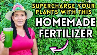 Amazing DIY Moringa Fertilizer for Explosive Plant Growth [upl. by Forest791]