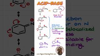 What is MORE basic Aniline vs a simple Amine chemistry organicchemistry [upl. by Eiznekcam]