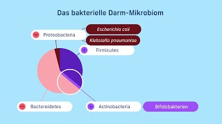 Mikrobiom und Antibiotikaassoziierte Diarrhoe [upl. by Ollehcram]