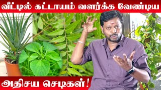 Veetil Valarka Vendiya Chedigal  Mooligai Plants in Tamil  செடிகள் வளர்க்கும் முறை  House Design [upl. by Ikey18]