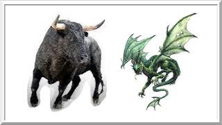 Stier Drache  Chinesische Astrologie Kombination [upl. by Ardussi]