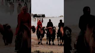 Bactriancamel twohumped camel native steppes lehladakh nubravalley incredibleindia travel [upl. by Secunda]