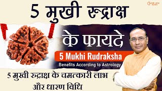 पांच मुखी रुद्राक्ष के फायदे और विधि  Benefits of Panch Mukhi Rudraksha  Astrology [upl. by Nnyllatsyrc]