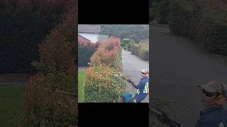 Trimming Hedges like Butter [upl. by Calen]