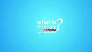 What İs Türkiye Scholarships [upl. by Verdie]