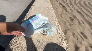 Disposing my Carrefour Pyjama Pants in Platja El Cabanyal Valencia Spain [upl. by Soneson491]