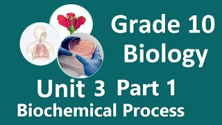 Grade 10 Biology Unit 3 Biochemical Process Part 1  new curriculum [upl. by Yendys376]