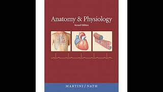 VangoNotes for Anatomy amp Physiology 2e Audiobook by Frederic H Martini Judi L Nath [upl. by Bringhurst]