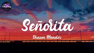 Señorita  Shawn Mendes Lyrics  Halsey  Taylor Swift Mix [upl. by Raffaello]