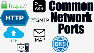 Common Network Ports and Protocols [upl. by Nylhtac32]