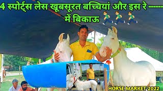 4 स्पोर्ट्स लेस खूबसूरत बच्चियां और इस रेट में बिकाऊ।। horse market in india ।। [upl. by Leiso957]