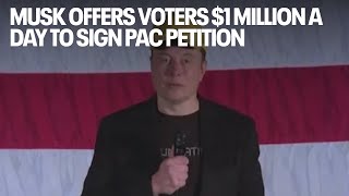 Musk offers voters 1 million a day to sign PAC petition backing the Constitution Is that legal [upl. by Straus381]