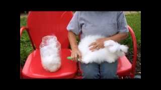 English Angora Wool Dying it Spinning it Crocheting it [upl. by Hughes]