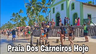 Praia Dos Carneiros Pernambuco 28 De Outubro De 2024 Dicas Importantes [upl. by Aniratac372]