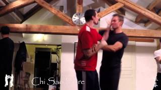 Association Chi Sao  Wing Tsun Lyon France  20142015 [upl. by Ahsei]