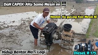 Bisa Hidup Tapi Gak Bisa Kerja  Kita Servis Mesin Diesel R 175 [upl. by Cliff]