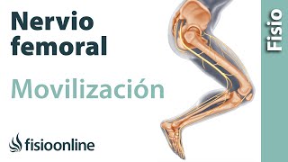 Flexibilización y movilización del nervio femoral [upl. by Fritts]