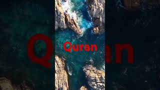 Surah waqiya urdu tarjama urdu qurantranslation shortsfeed shortsviral ytshorts [upl. by Enidan]