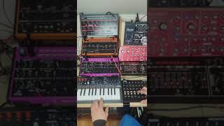 Behringer edge syncussion Arturia minifreakminibrute and microfreak synth jam [upl. by Neema]