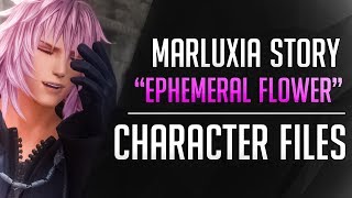 NEW Marluxia STORY quotEphemeral Flowerquot  Kingdom Hearts Series Character Files [upl. by Lekim]