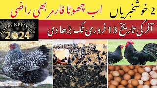 Australorp Business In Pakistan [upl. by Ahsain]