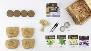 How To Plant Up Your Garden Republic Herbal Tea Grow Kit [upl. by Cristionna823]