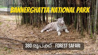 Bannerghatta National Park  Forest Safari  Best place to visit in Bangalore Malayalam [upl. by Adnahsor629]