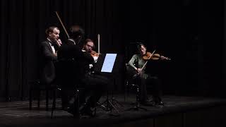 Joseph Haydn Kaiserquartett  Allegro  Auner Quartett [upl. by Setarcos175]